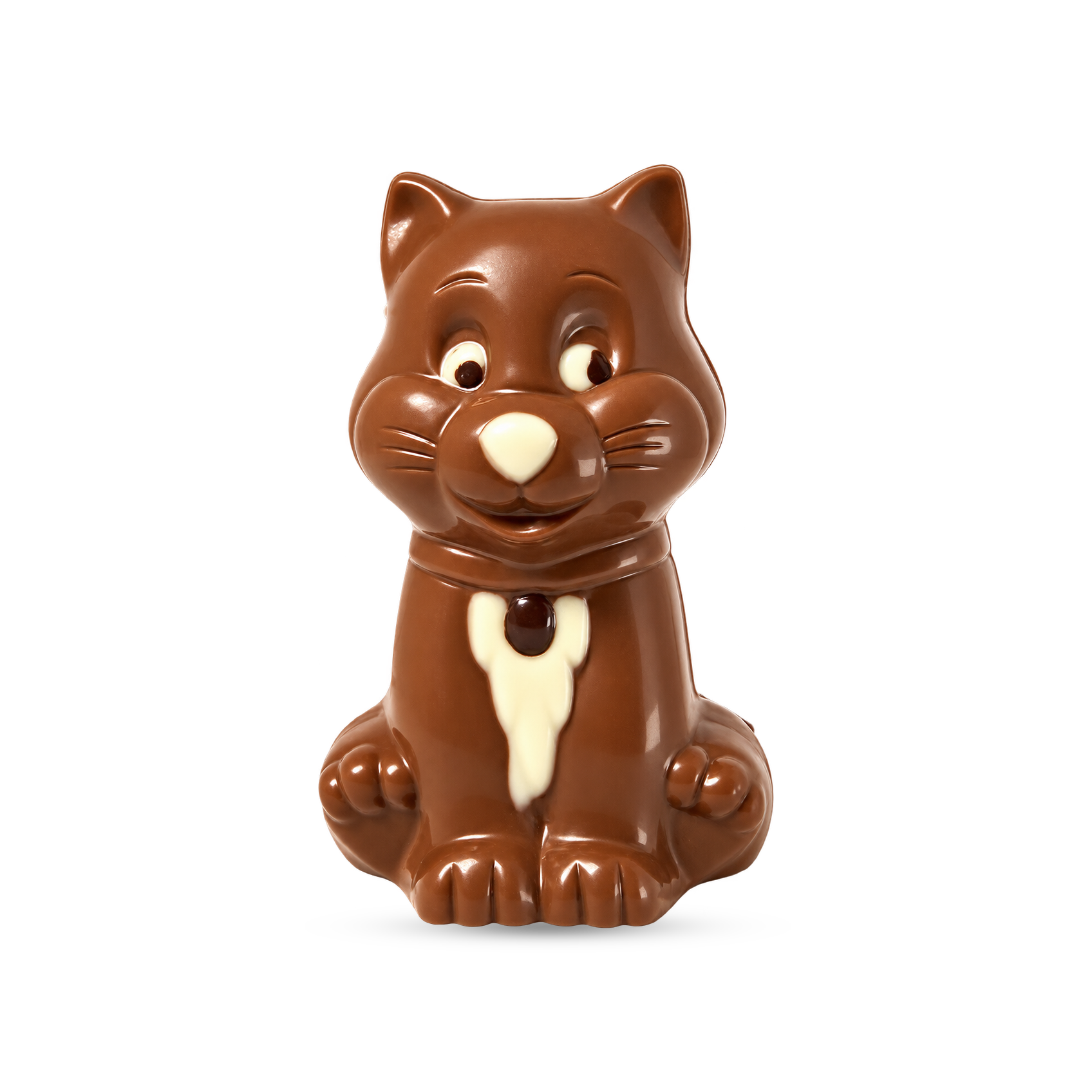 Moulage Chaton