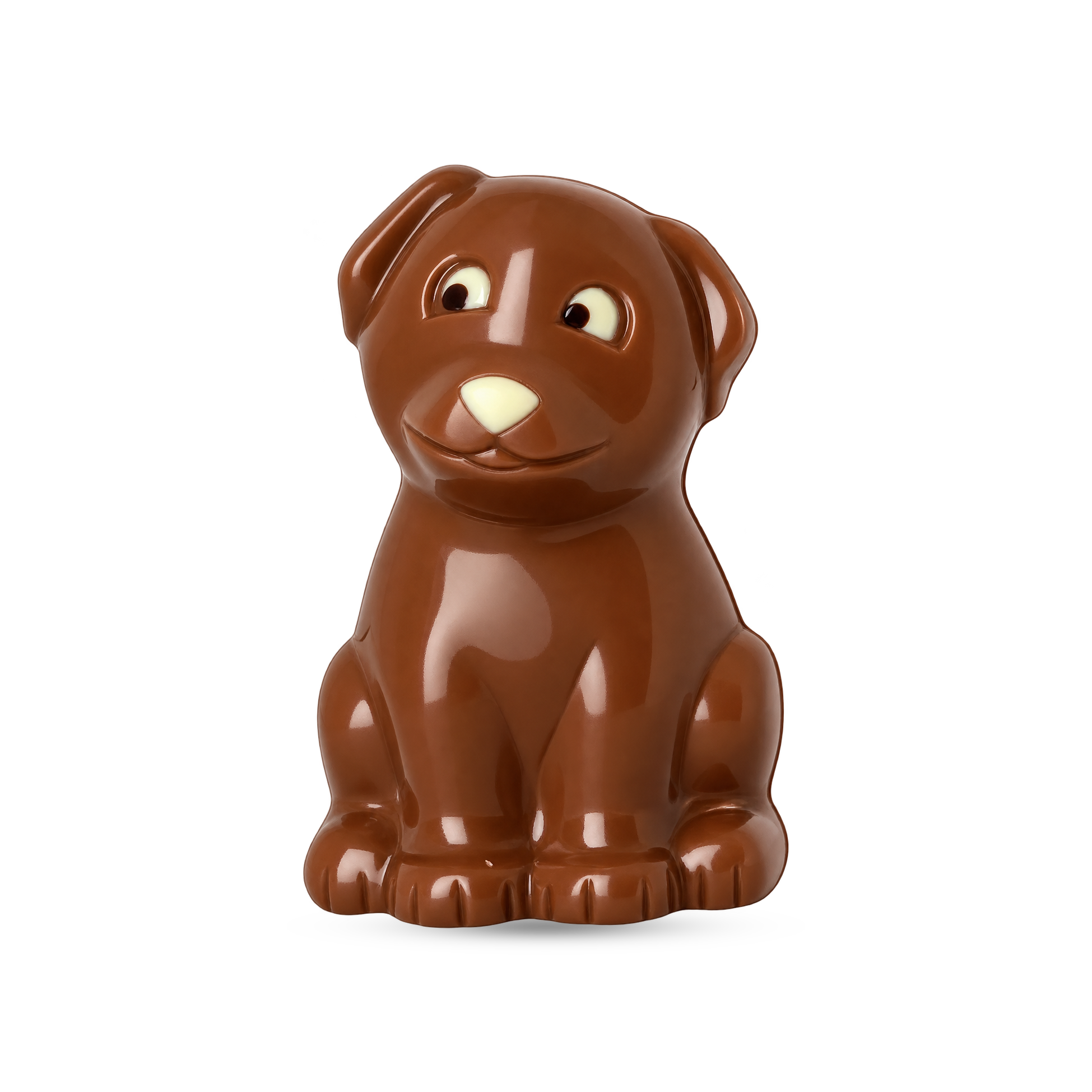 Moulage Chiot